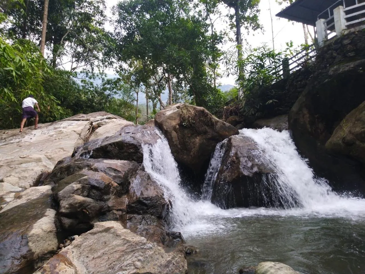 Mistywindvalley Kudayattur